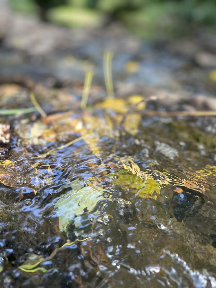 Pictures I’ve Taken Recently (10 Pics)