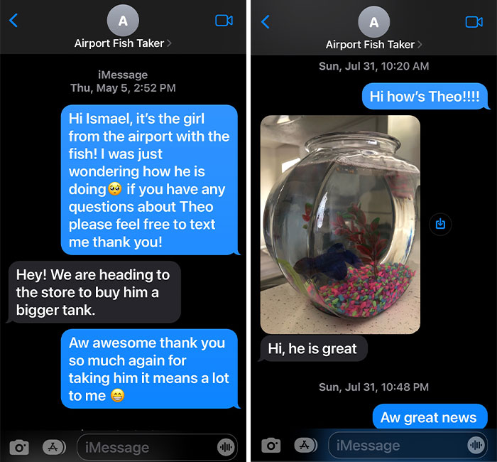 “How About I Take It Home To Live With Me?”: Airline Employee Looks After Passenger’s Pet Fish For 4 Months “How About I Take It Home To Live With Me?”: Airline Employee Looks After Passenger’s Pet Fish For 4 Months