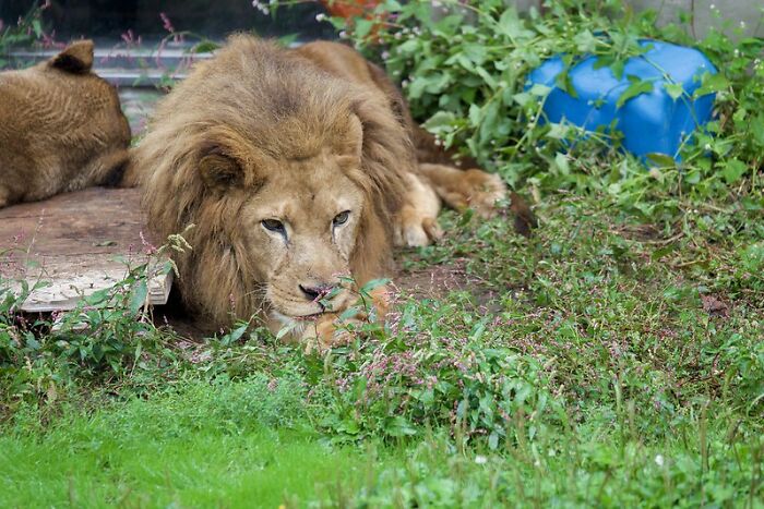 30 Wise Old Sayings That Have Totally Lost Their Meaning In The Contemporary World, As Shared By Folks In This Online Group