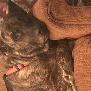 malissa-christopher avatar