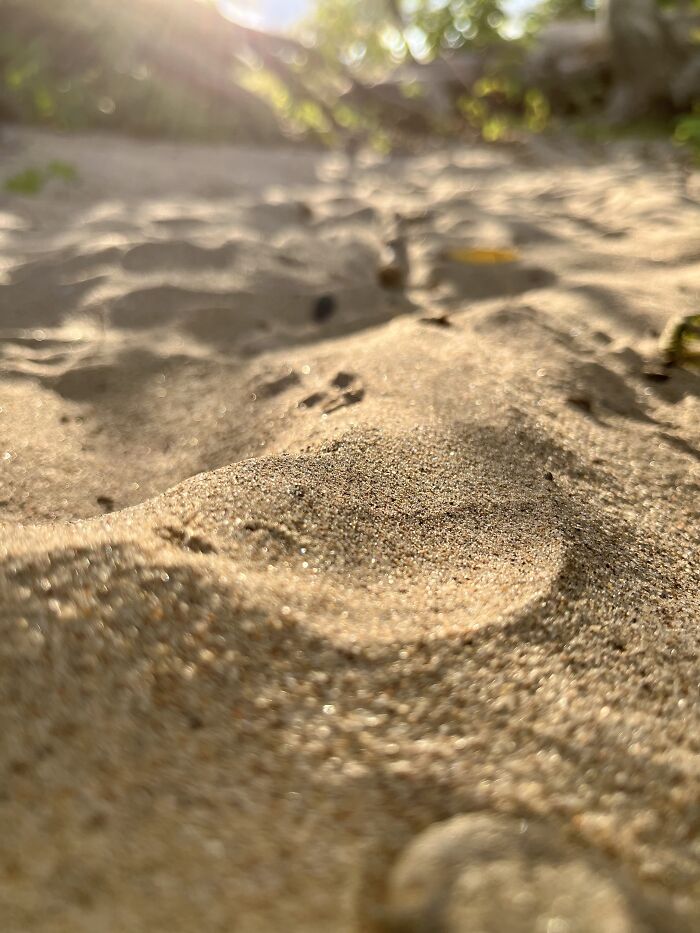 Pictures I’ve Taken Recently (10 Pics)