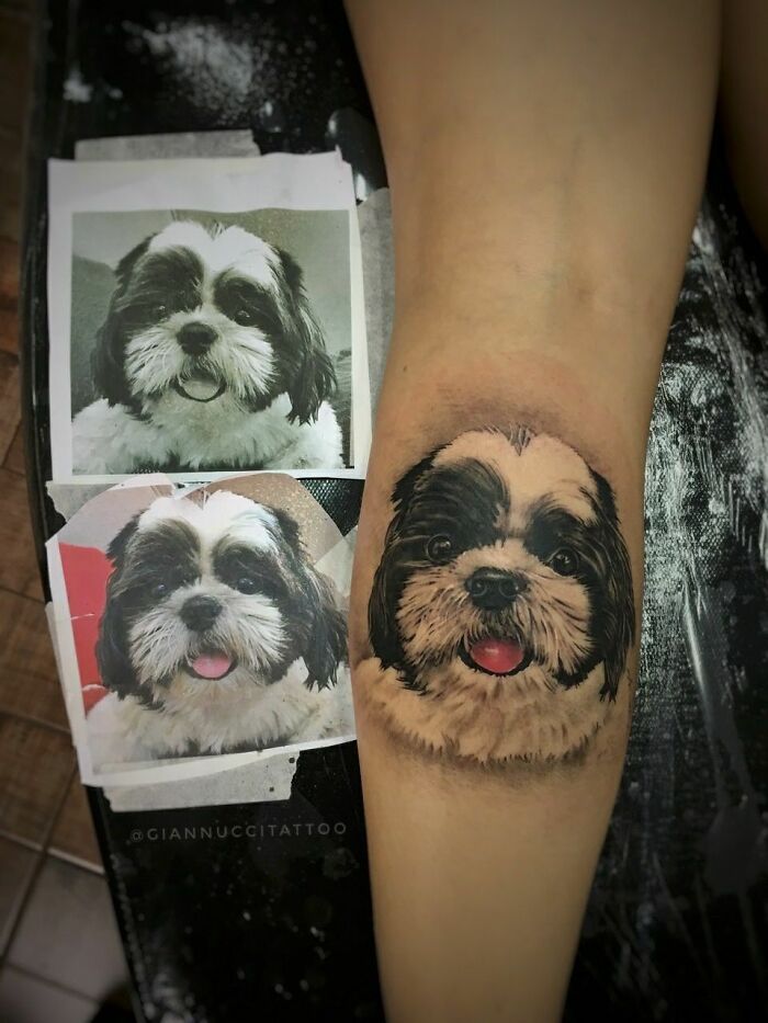 Dog's face calf tattoo 