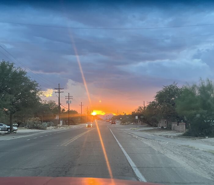 Fiery Sun On The Way To Dinner