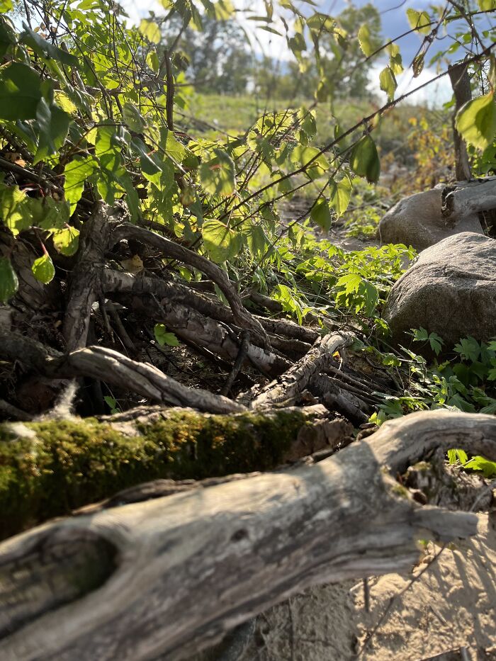 Pictures I’ve Taken Recently (10 Pics)