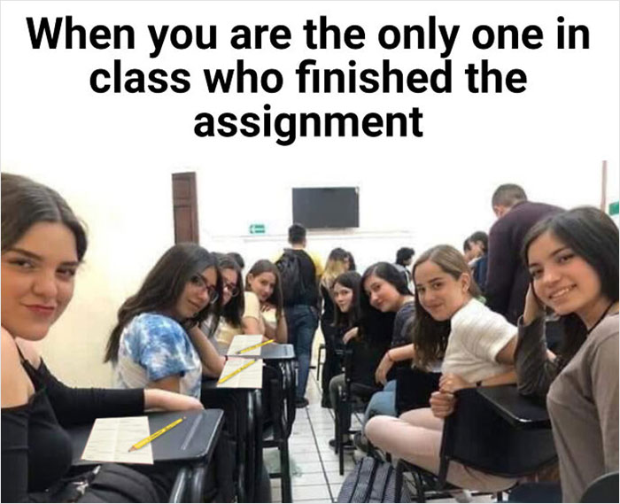 46 Funny School Memes That Perfectly Capture Classroom Struggles (New ...