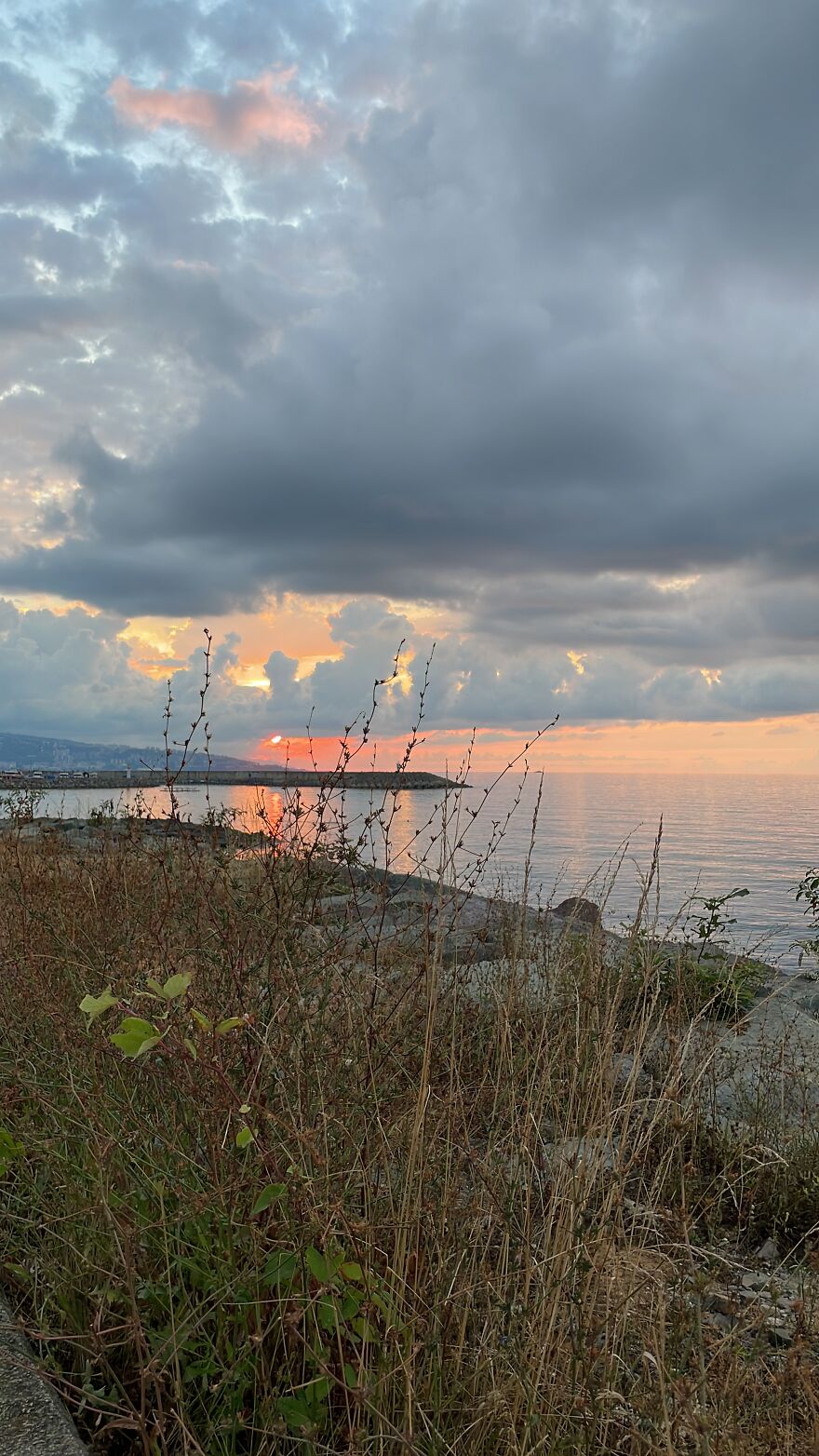 What Do You Guys Think Of This?