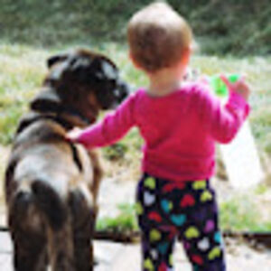 reidmcclanahan avatar