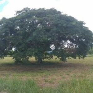 followthefunkyrabbit avatar