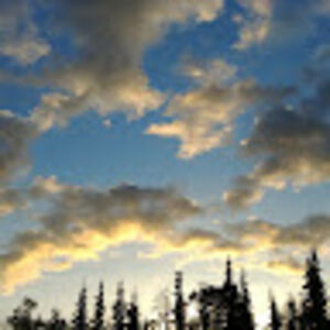 krisselcalibo avatar