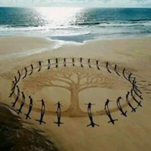 treehugger98022 avatar