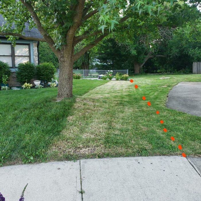 My Neighbor Is An Idiot. Hacked A Huge Portion Of My Front Lawn Down To Dirt Because He "Thought The Property Line Was At The Tree"