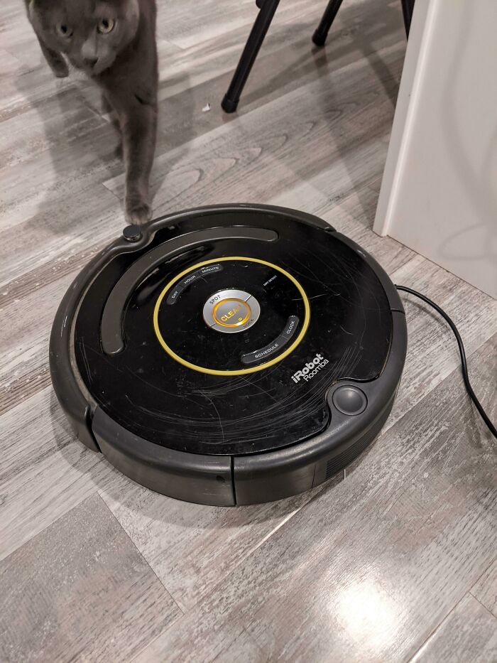 Roomba funcional con cargador por 4$. El gato aún no sabe si le gusta