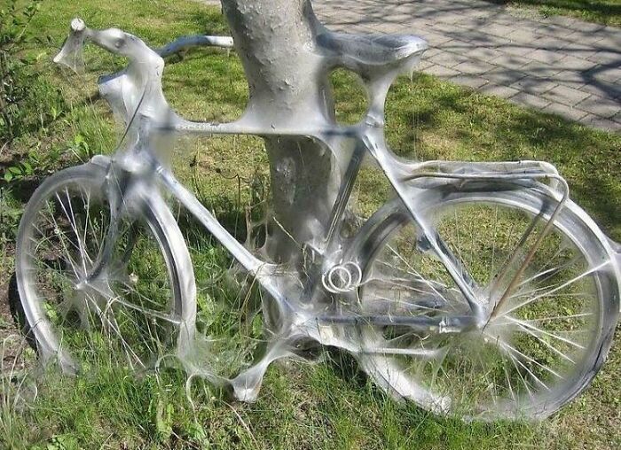 Cursed Bicycle
