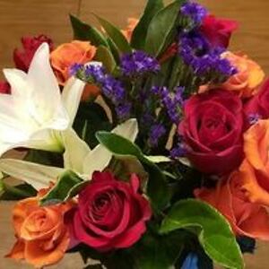 victoriafarrar_1 avatar