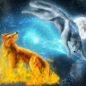 lilianabaccala avatar