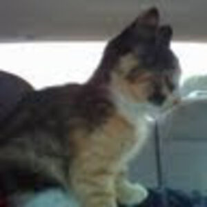 kristinadavis_4 avatar