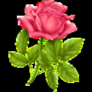 a_l_l_lougheed avatar