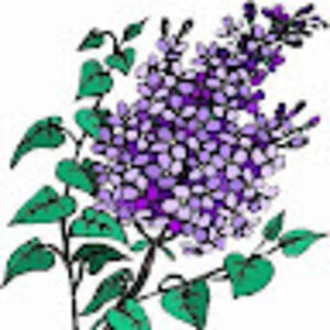 rebeccacooper avatar