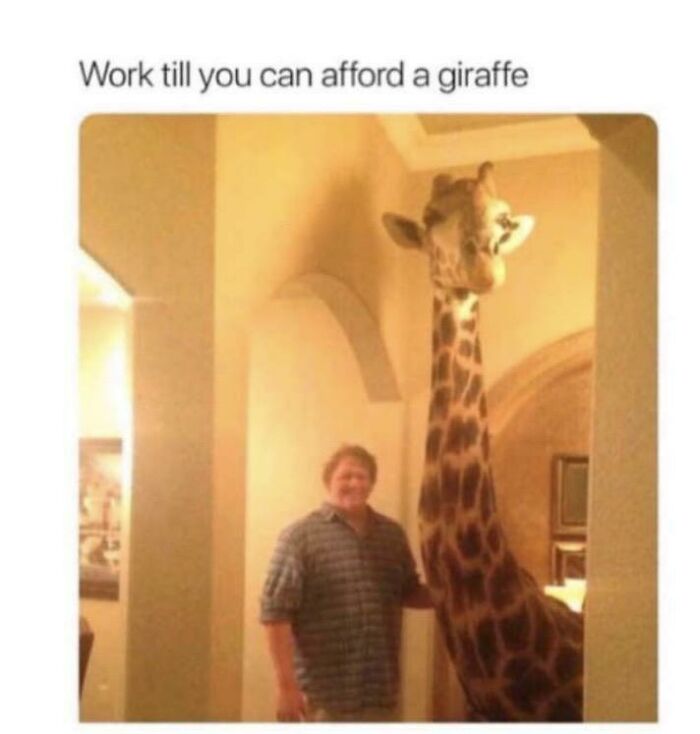 I Will Aspire To Afford A Giraffe, This Man Is So Inspirational