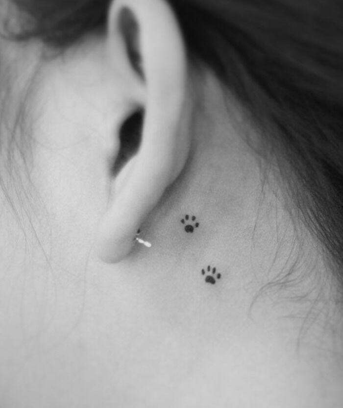 14 Cat Tattoos That Left A Large Paw Print On Our Hearts  I Can Has  Cheezburger