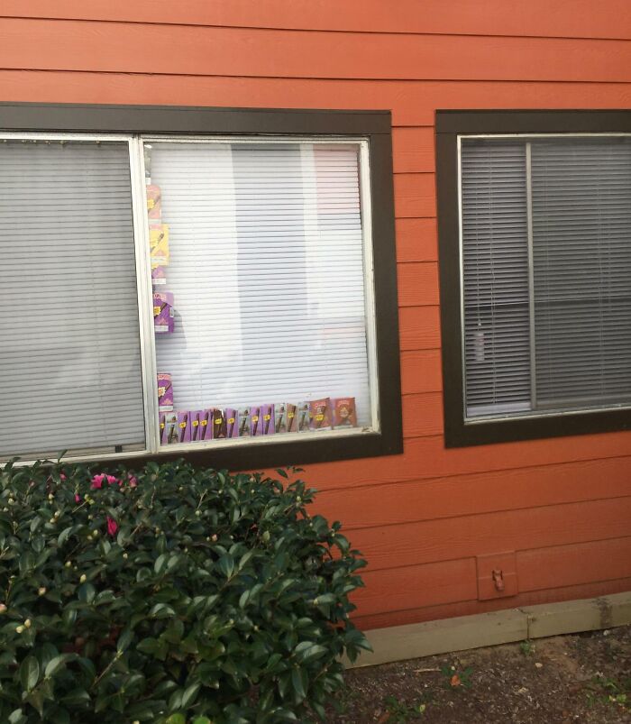 Neighbor Treats Each Blunt Wrapper Like A Trophy