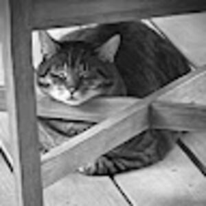 paigeparquette_1 avatar