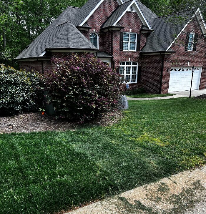 My Neighbor Insists I Grew My New Grass Over The Property Line So She Continues To Mowing This Two-Foot Section Of What’s Actually Mine