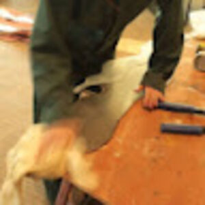 charitychristenson avatar