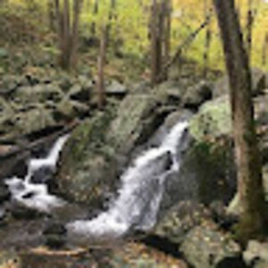 choochanbrown avatar