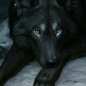 agata_kowalczyk avatar