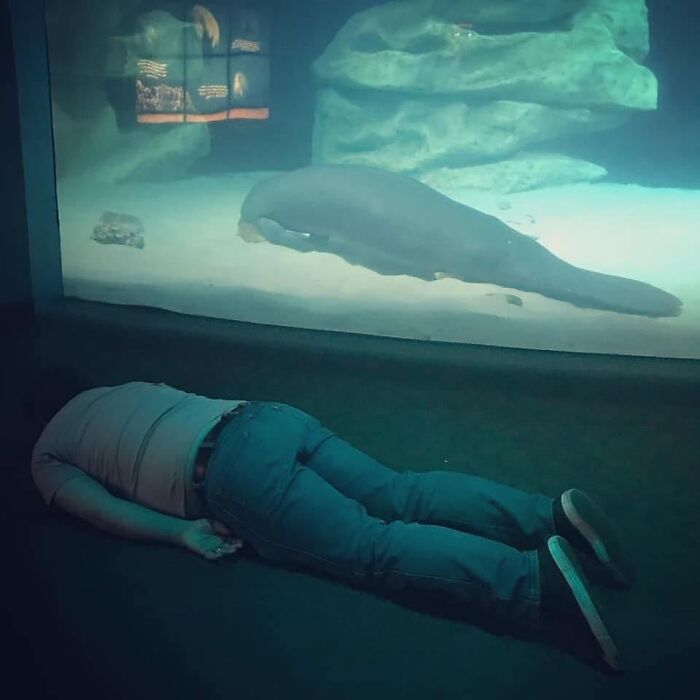 My Friend’s Cousin Visited The Aquarium Today. Can You Spot The Difference?