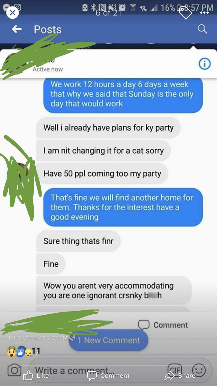 Woman Wants Kitten For Son’s Birthday