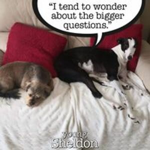 ashbie_woolcock avatar