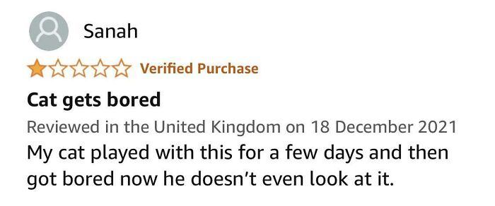 I Get That Cats Get Bored, But Why The One Star Review?
