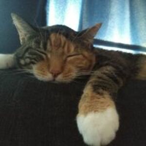 shannonea2888 avatar