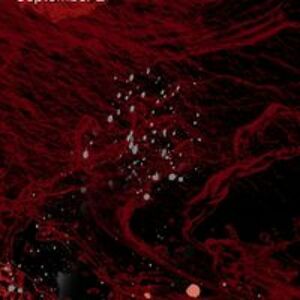 joyce_reynolds avatar