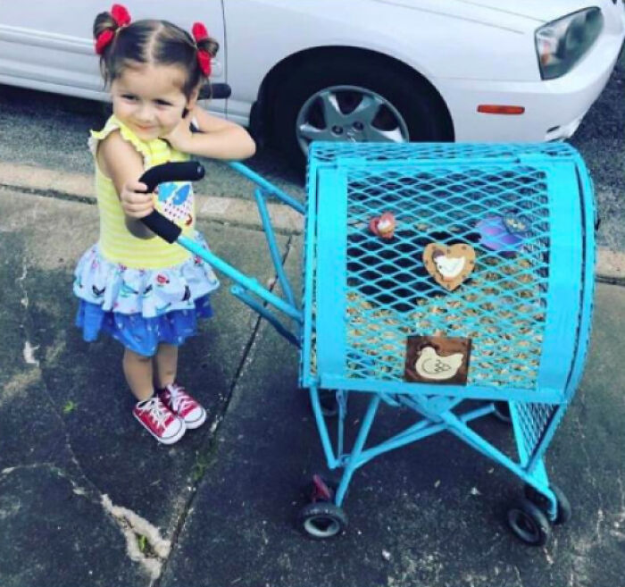 She Loves Chickens So Her Dad Made Her A Chicken Stroller