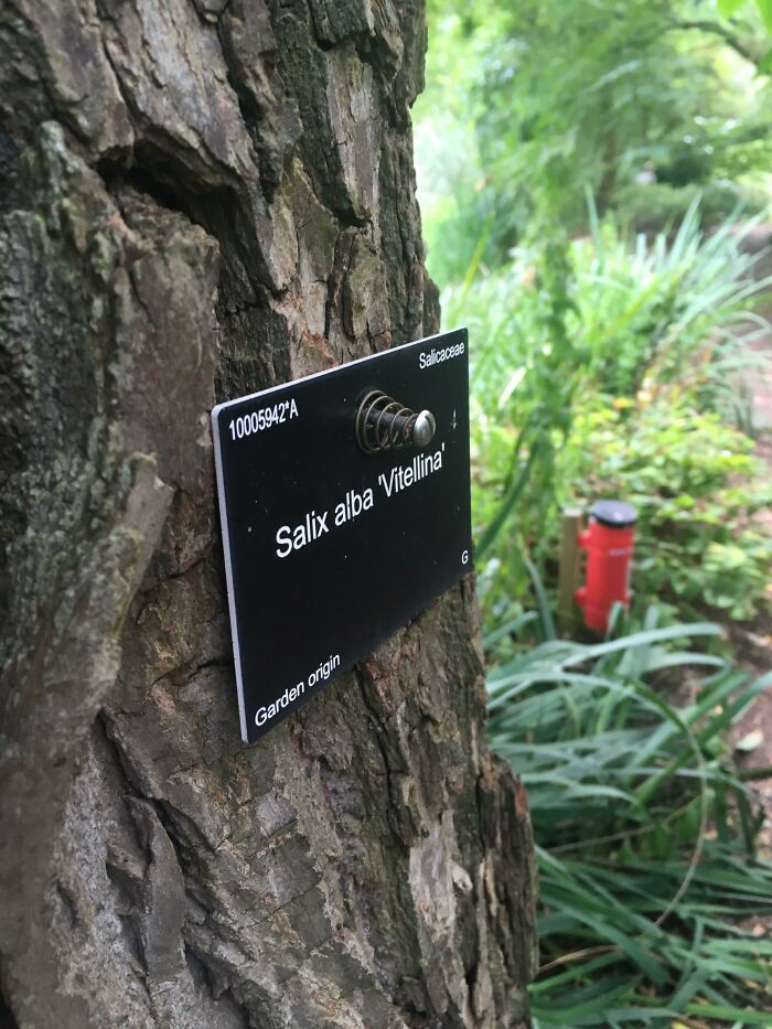 The Signs In These Botanical Gardens Have Springs So The Signs Move With The Growth Of The Tree