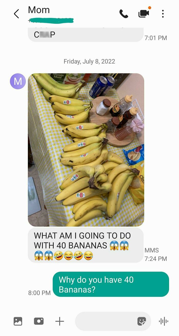 Some Insane Person Gave My Mom An Intense Amount Of Bananas And She Accepted Them