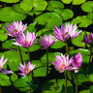 kimberlyalexander avatar