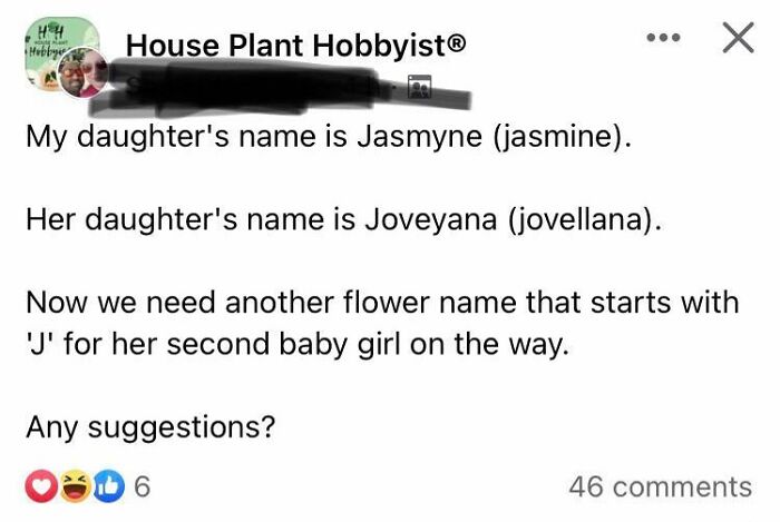 We All Know Which Plant Name Was Suggested Most. Bonus Points If You Can Guess My Suggestion