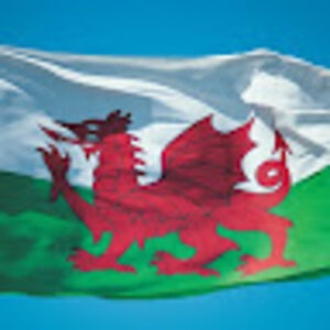 welshpatriot avatar