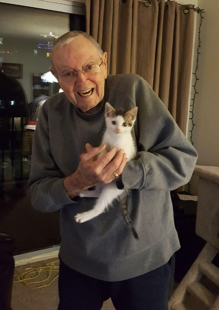 My Grandpa's Cat Passed Away. He Was Crushed And Didn't Want To Insensitively Replaced Her, But Was So Lonely He Let My Mom Help Him Find A New Kitten