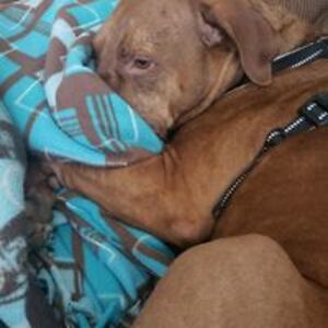 kristina_marie avatar