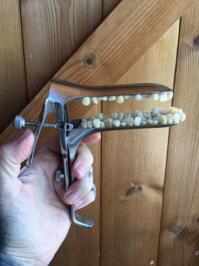 Anything Can Be Improved By Gluing Human Teeth To It