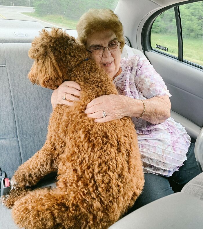 My Dog Gets Really Anxious In The Car, So My Grandma Asked To Sit In The Back With Him. The Whole Car Ride All I Heard Was “It’s Okay, We’re Almost There Brave Boy”