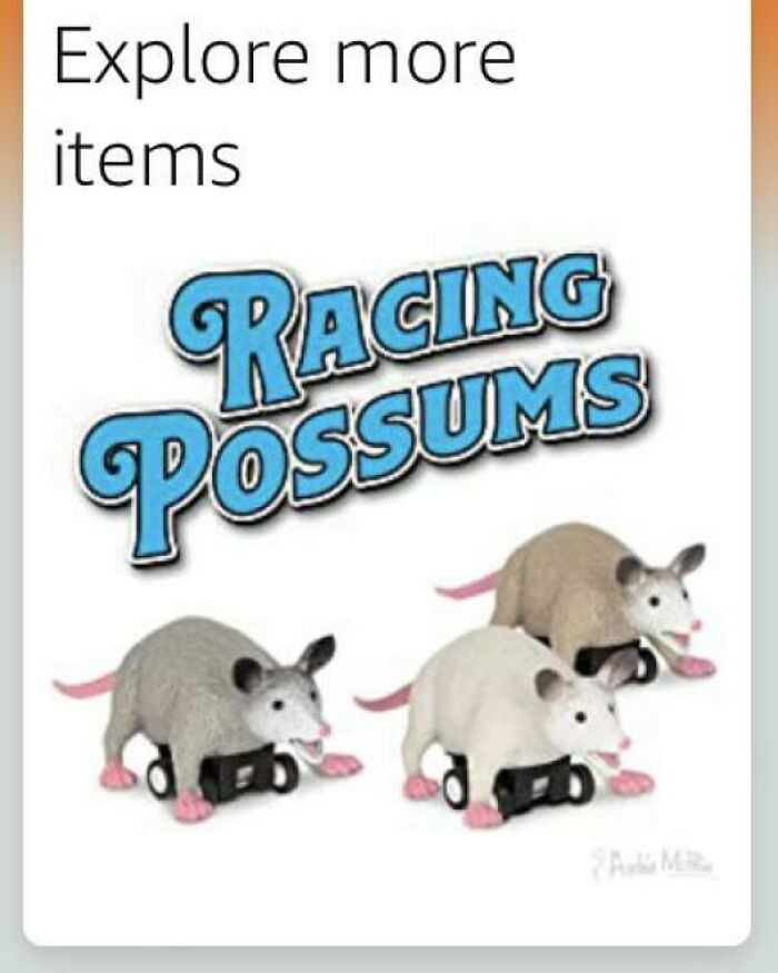 Racing Possums $22.99–only 1 Left In Stock!