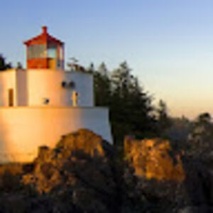 carleennelson avatar