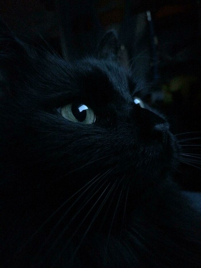 She Is One With The Darkness