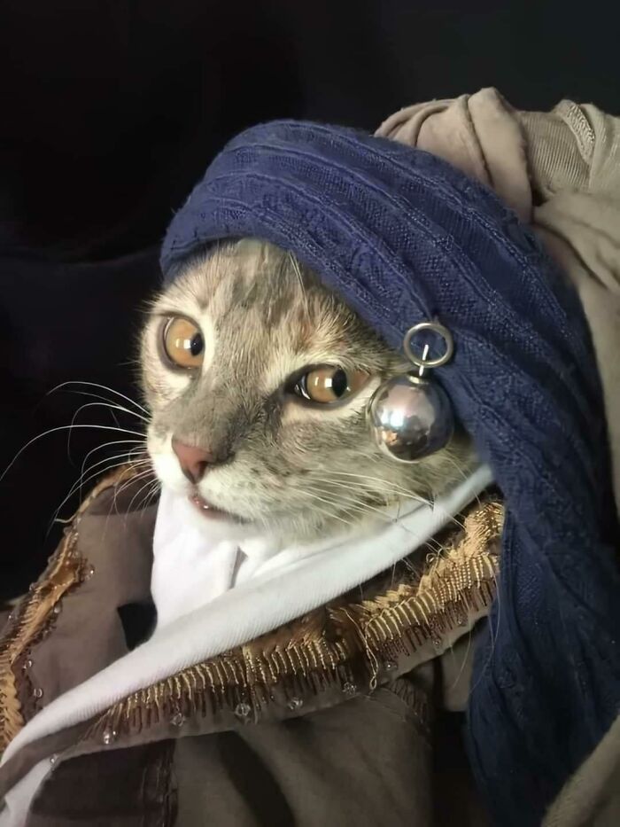 The Cat With The Pearl Earring
